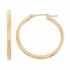 Jordan Blue 14k Gold Tube Hoop Earrings - 25 Mm Yellow