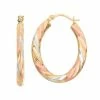 Jordan Blue 14k Gold Tri-Tone Twist Oval Hoop Earrings